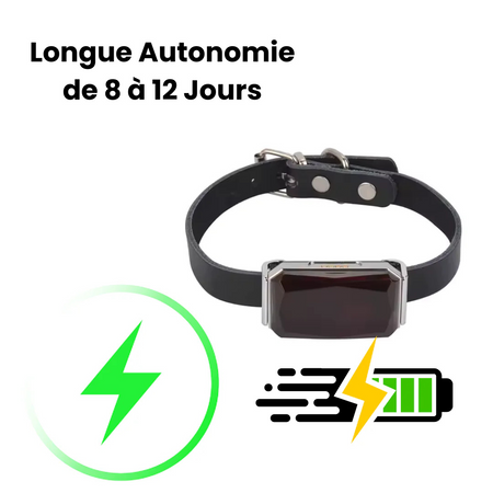 Collier GPS Sans Abonnement, Portée Illimitée | Sadoper™