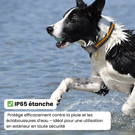 Collier GPS pour Chien Sadoper™ – Suivi Précis Sans Abonnement et Portée Illimitée