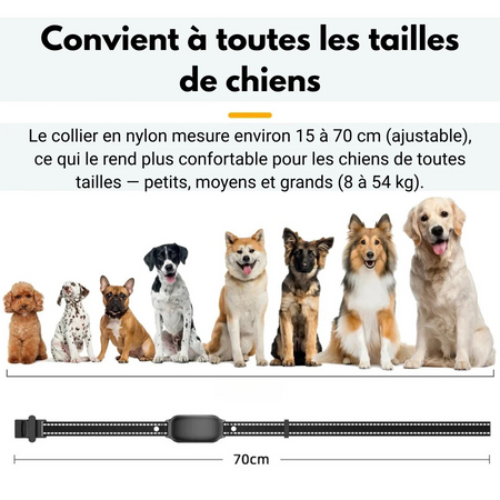 SmartTrain™ – Collier de Dressage Électrique Intelligent pour Chiens