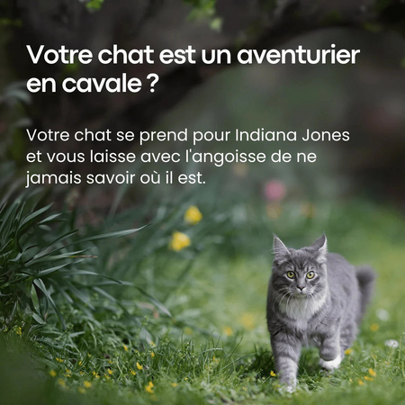 Tag GPS Chat Discret – Suivi Mondial via Apple & Android Find My – Sans Abonnement