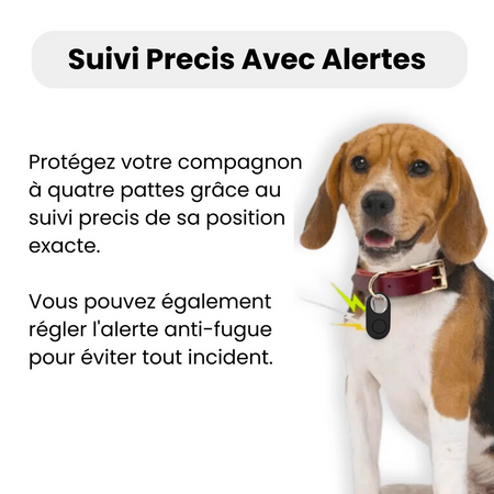 Tag GPS Chien Discret – Suivi Mondial via Apple & Android Find My – Sans Abonnement