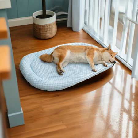 Lit rafraîchissant pour animaux en soie glacée | Confort respirant | Idéal par temps chaud