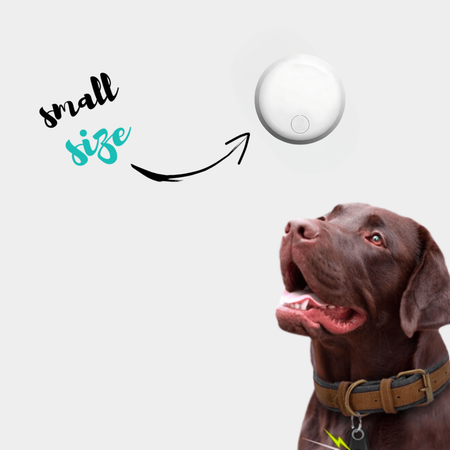 Sadoper™ GPS Sécurité Totale pour Chien - Sans Abonnement