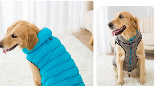 Manteau imperméable réversible pour chien