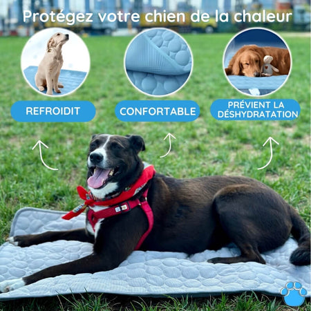 Sadoper™ - Tapis rafraîchissant pour chien