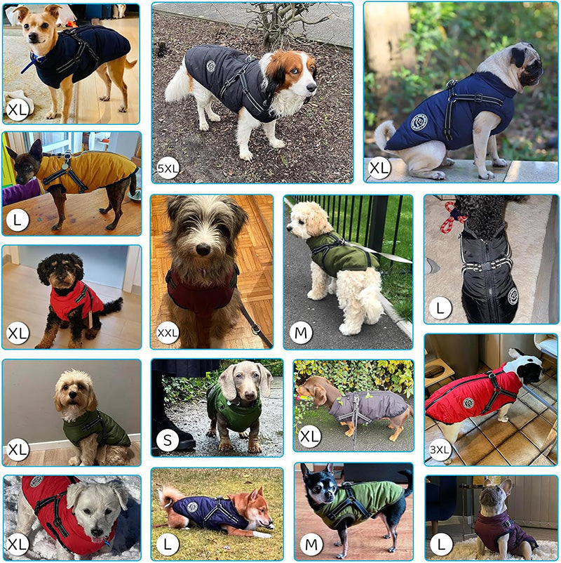 Veste d’Hiver pour Chiens