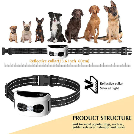 Sadoper™ – Collier de Dressage & Clôture Sans Fil 2-en-1 pour Chien