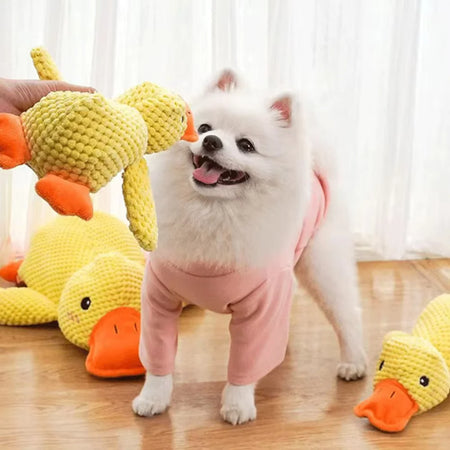 StressQuack - Jouet en peluche Canard à Mâcher pour Chien
