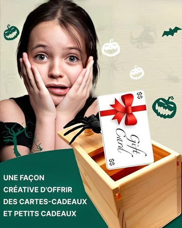 Boite Farce Et Attrape Araignée