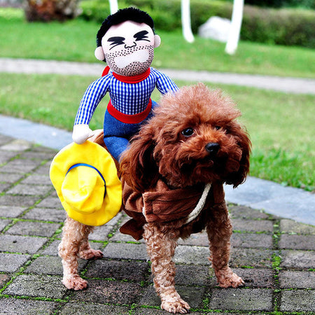Déguisement Halloween Pour Chien et Chat