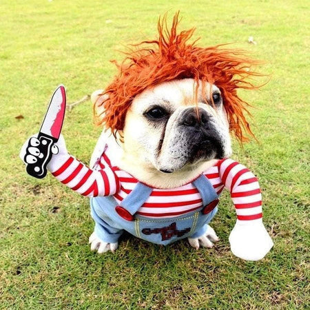 Déguisement Halloween Pour Chat et Chien