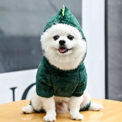 Deguisement pour chien | Dinosaure™