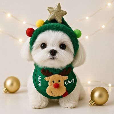 Deguisement pour chien | Noelito™