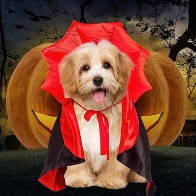 Deguisement pour chien | Diablo™