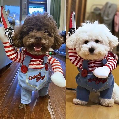 Deguisement pour chien | Woufchucky™