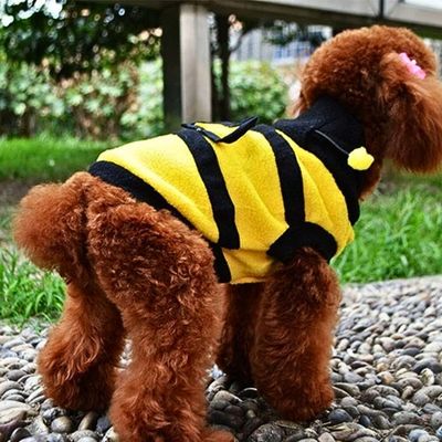 Deguisement pour chien | Beedisguise™