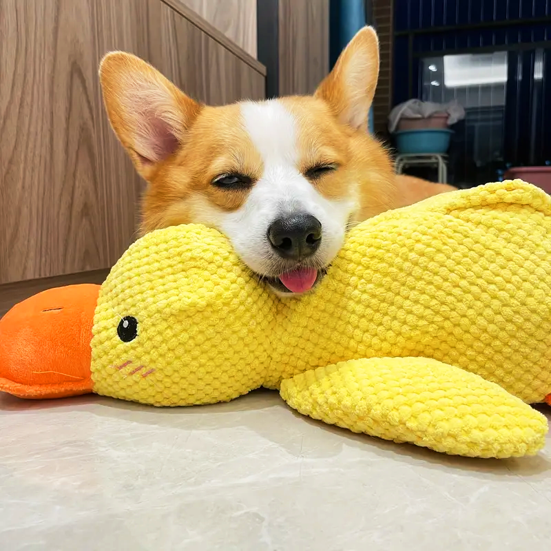 StressQuack - Jouet en peluche Canard à Mâcher pour Chien