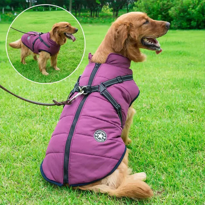 Veste d’Hiver pour Chiens