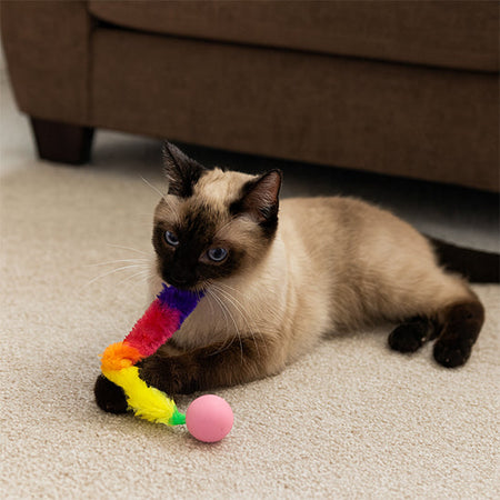 Jouet Chat Interactif Balle Folle Chenille™ – Rebond, Lumière & Instinct Réveillé
