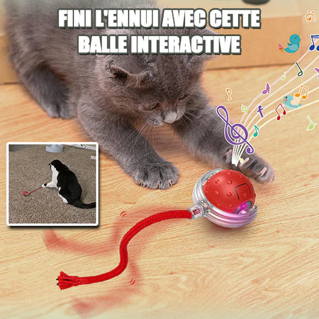 Jouet Interactif Intelligent pour Chats et Chiens – Divertissement Infini