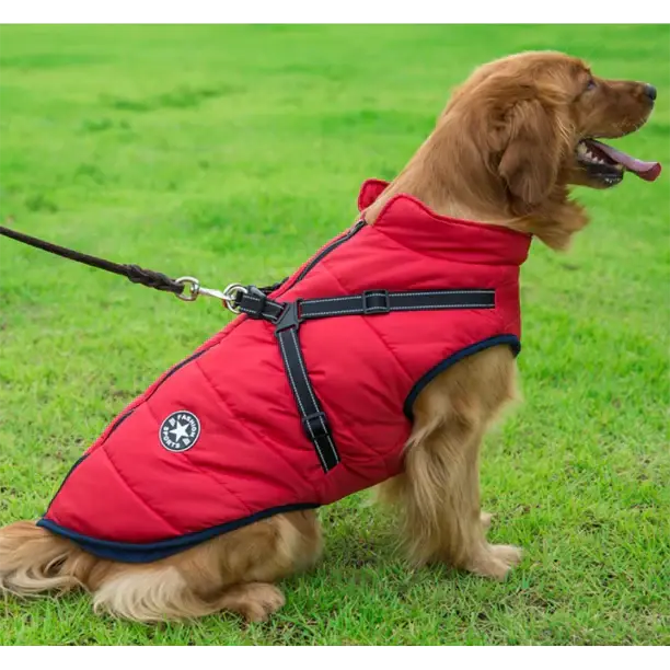 Veste d’Hiver pour Chiens